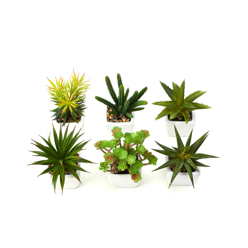 Ensemble de 6 cactus artificielles succulent dans un pot