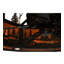 Tall Pines Downrod Ceiling Fan