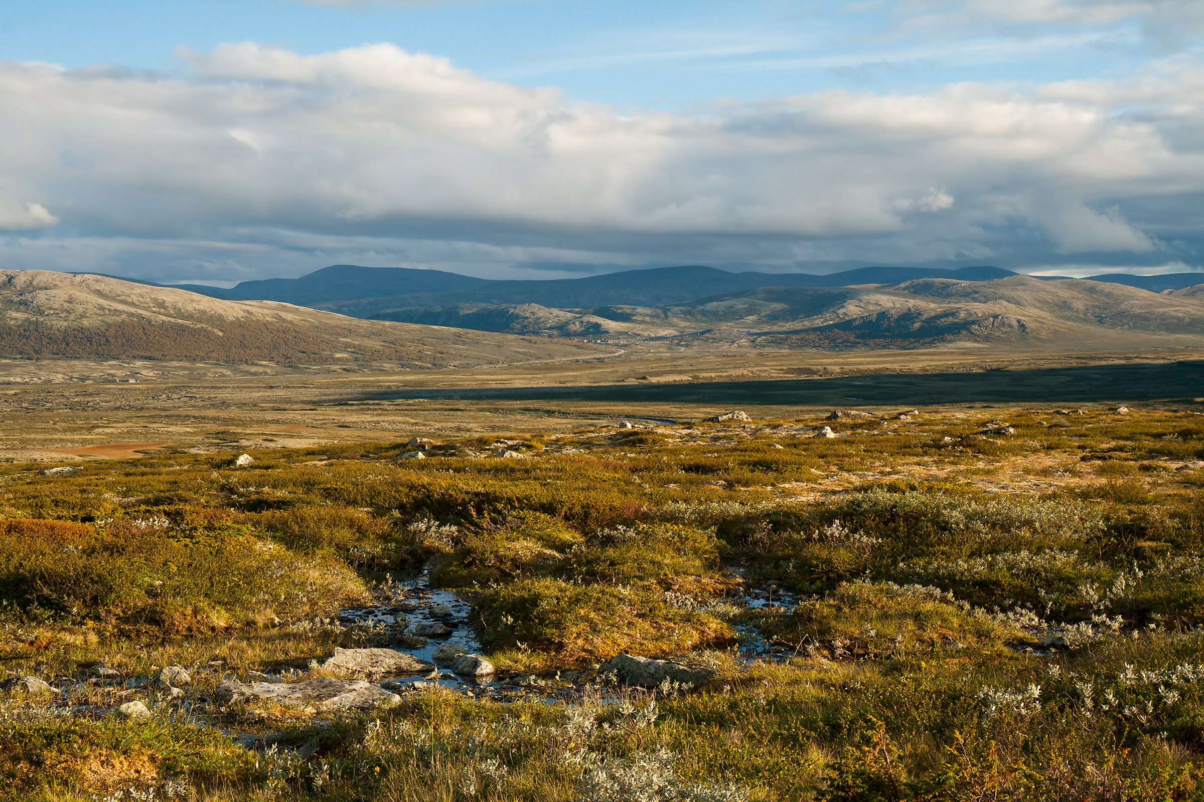 Loon Peak® Benji Summer Tundra On Canvas by Yulia-B Photograph | Wayfair