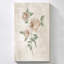"Blush Rose Botanical I" par Natalie Carpentieri, reproduction sur toile-220940989
