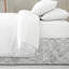 Paisley Seafoam Cotton Bedskirt-167411781-167411782