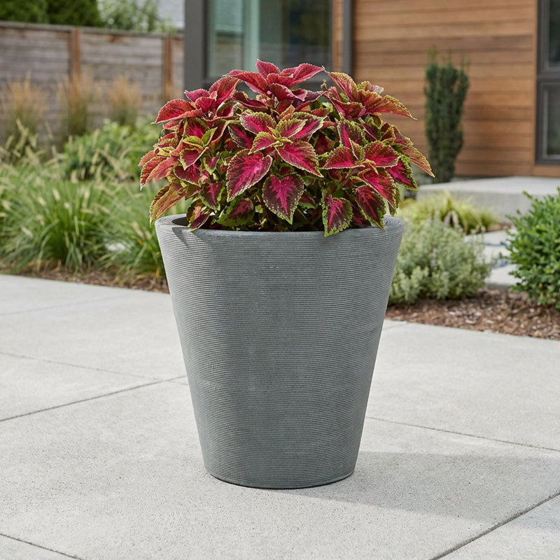 Barbara Pot Planter, 16.5" H x 16" W x 16" D