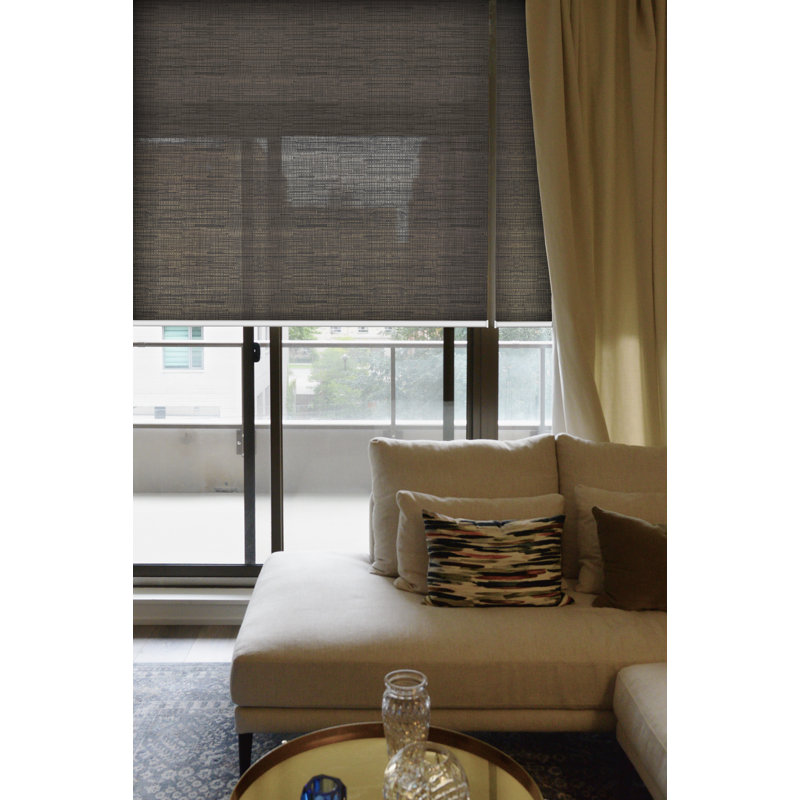 Rideau roulant transparent gris anthracite, Brun, L 60 po x L 72 po