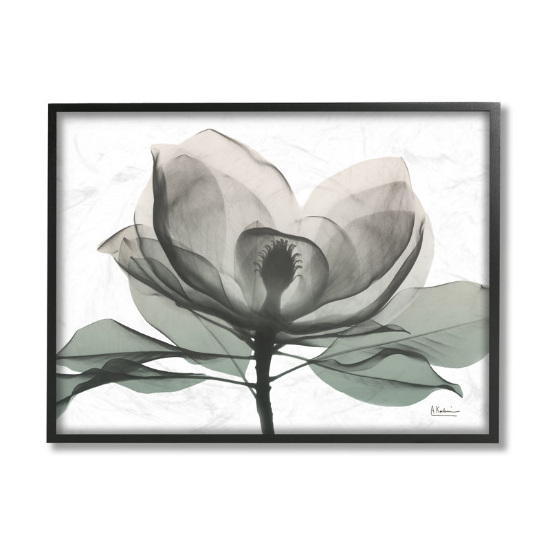 «White Magnolia Flower White Green Silhouette» par Albert Koetsier - impression d'art graphique, H 11 po x l 14 po x 1,5 po