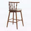 Ensemble de 2 chaises d'appoint d'intérieur combinant élégance traditionnelle et confort moderne-310092168