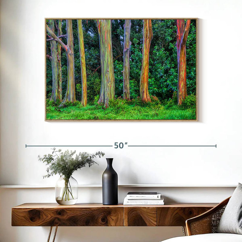 Eucalyptus arc-en-ciel, Cadre flottant en bois naturel, 40 po x 27 po
