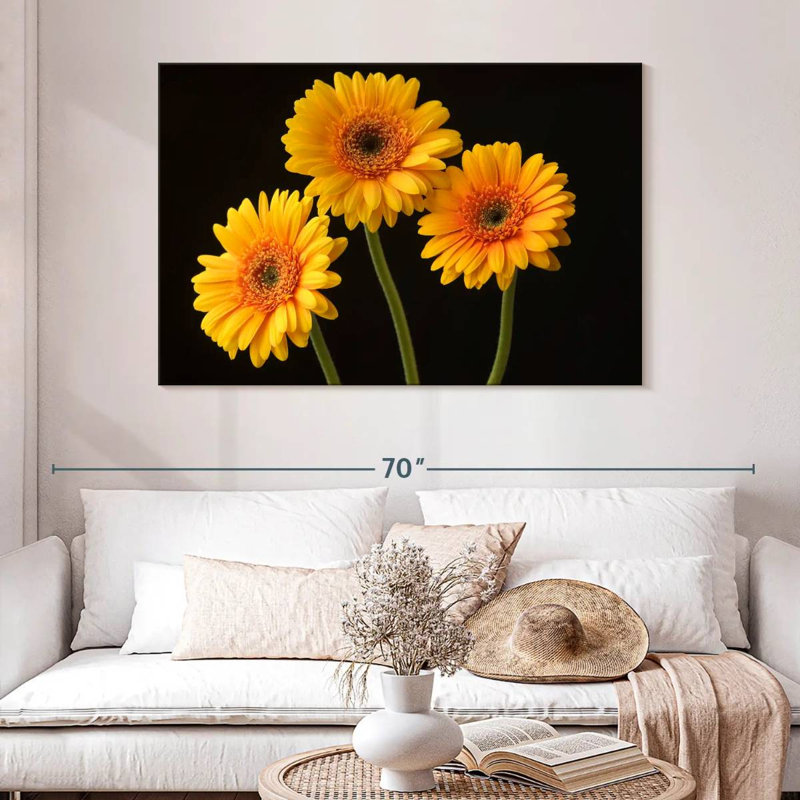 Trois marguerites Harnek sur fond sombre, H 32 po x l 48 po