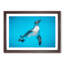 Swimming Penguin - Picture Frame Painting Print-55616728-55616729