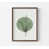 Framed Print without Mat n'est pas disponible