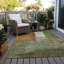 Chayden ACN1100 Machine Washable Indoor/Outdoor Green Area Rug-100136643