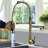 Wonderland America Pull Down Kitchen Faucet