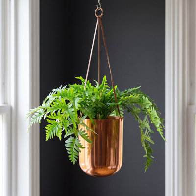 Metal Cachepot