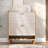 31.5 Inch Nordic Style Shoe Storage Cabinet With 2 Flip Drawers
