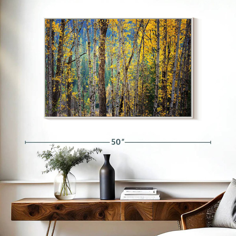 Kootenay Fall II, Cadre flottant blanc, 40 po x 27 po