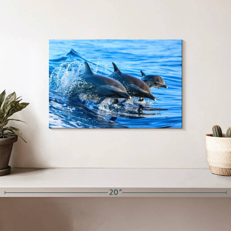 Crowle Surfing Dolphins, H 8 po x l 12 po