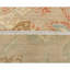 Wool Floral Area Rug in Sand-724527212