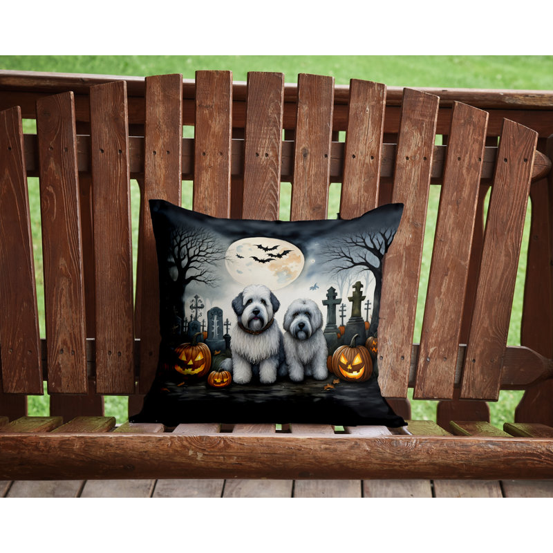  Housse et insert de coussin décoratif en polyester, 14 po x 14 po