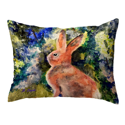Outdoor Reversible Throw Pillow