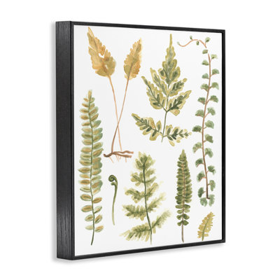 Feuilles de fougère variées June Erica Vess bg-053