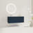 Meretsky 47.64'' Single Bathroom Vanity with Top