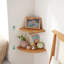 Tablette murale d'angle - rangement et présentation en bois massif en forme d'éventail-1108516434