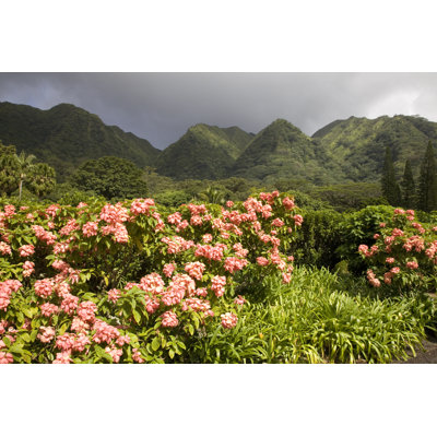 Botanical Gardens 1 Piece Wrapped Canvas Wall Art