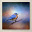 «Vidur Blue» par Vidur, impression sur toile tendue-22075671