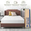 Matelas simple à plateau-coussin 10 po Alwyn Home Hunterstown