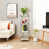White est en rupture de stock