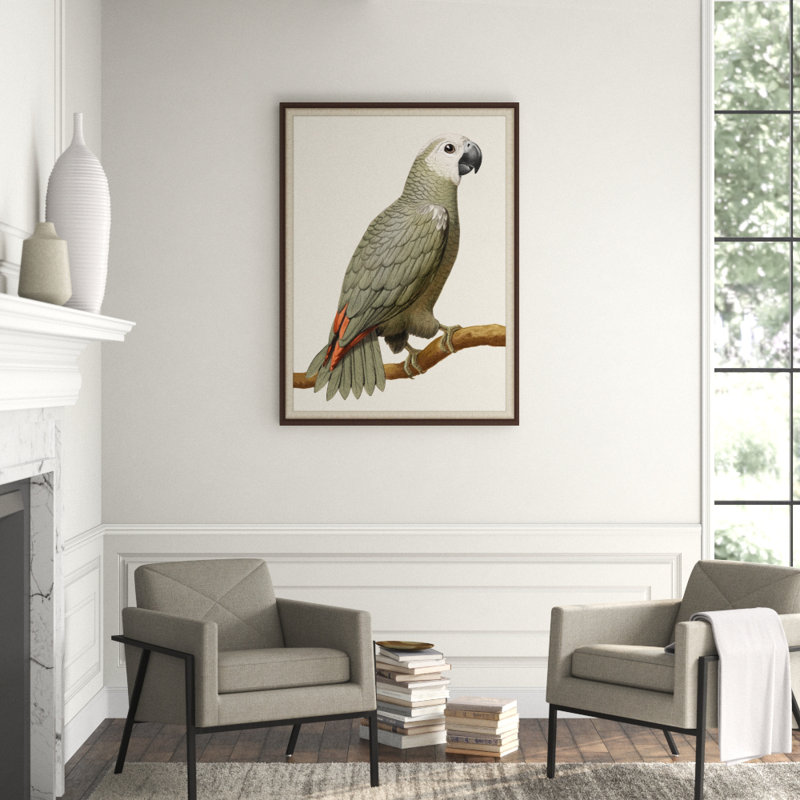 Gray Parrot 1' Framed Print on Glass