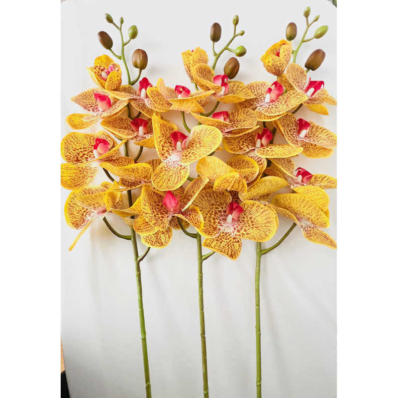 Phalaenopsis artificiel à 9 têtes Real Touch en latex orchidée - 3 tiges / blanc, Blanc