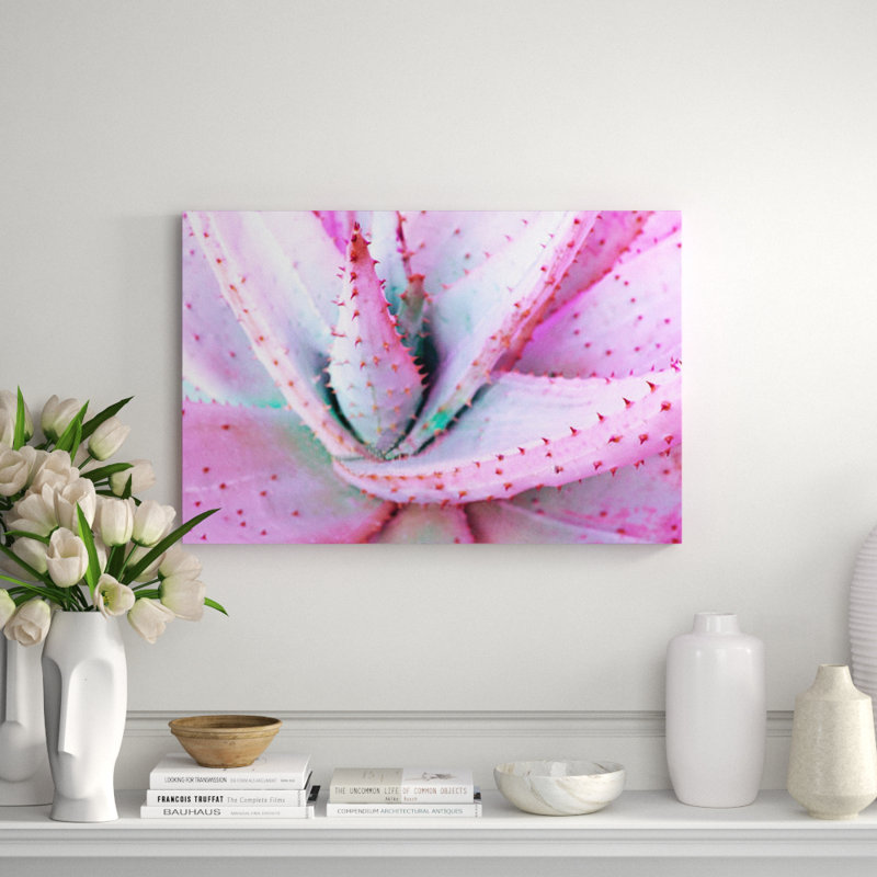 Pink Aloe Print, 24" H x 36" W x 2.5" D, Aluminum