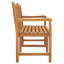 Orkin Solid Wood Teak Outdoor Bench-1145142290