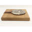 Porte-serviette en bois imprimé libellule
