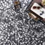 Terrazzo Italy Sacra 24x24 Honed Marble Tile-38204609