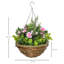 Ajnesh Hanging Planter