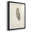 Scops - Eared Owl - reproduction de cadre photo-23335888-23335902
