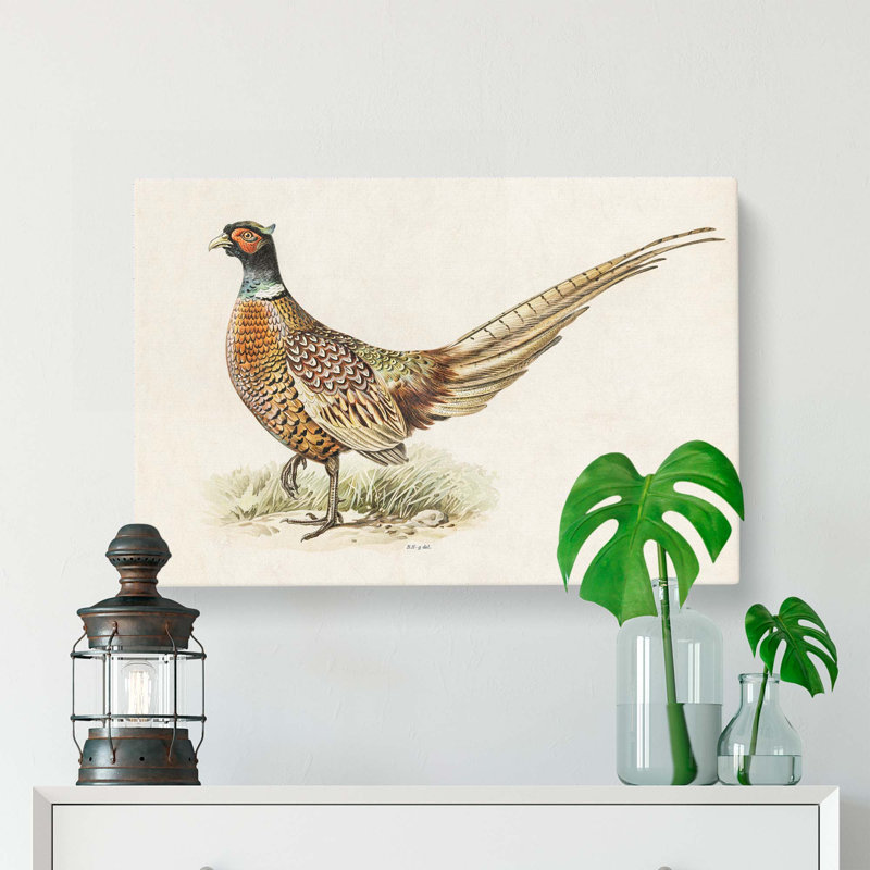 Ring-necked Pheasant by Von Wright - Wrapped Canvas, 50cm H x 76cm W x 3cm D