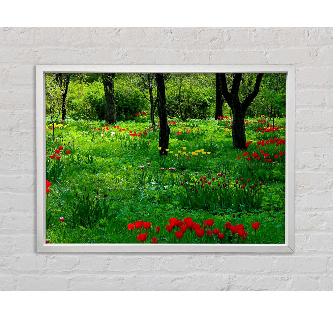 Tulip Woodland - Einzelner Bilderrahmen Kunstdrucke auf Leinwand