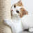 PETMAKER 3-Tier Round Cat Tower ' Large Cat Condo Napping Perch and 4 Sisal Rope Scratching Posts