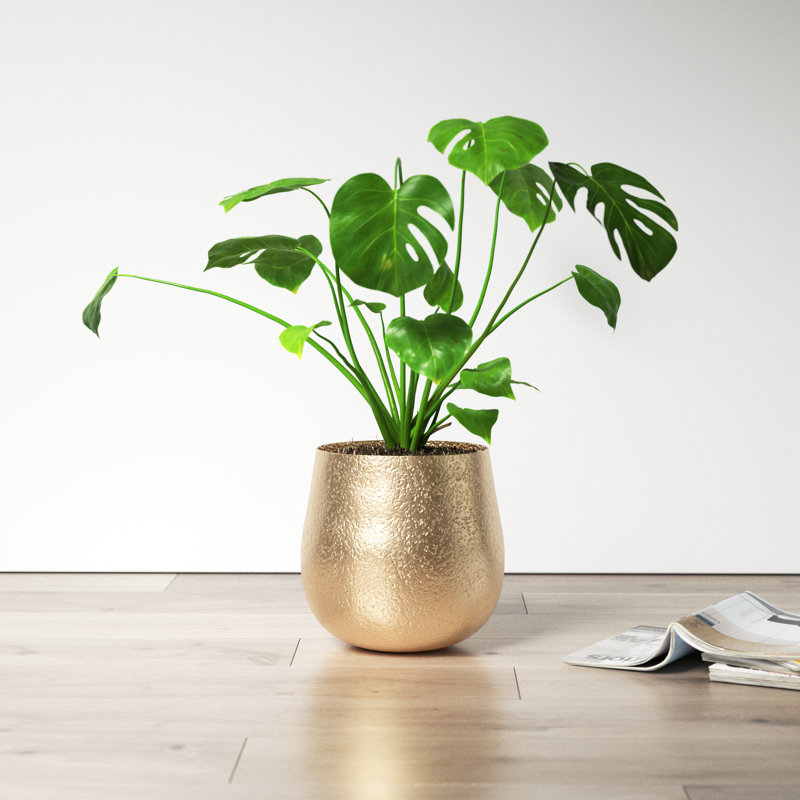 Drake Handmade Metal Pot Planter, 10.5"