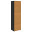 185cm H x 50cm W Bookcase-1778050261