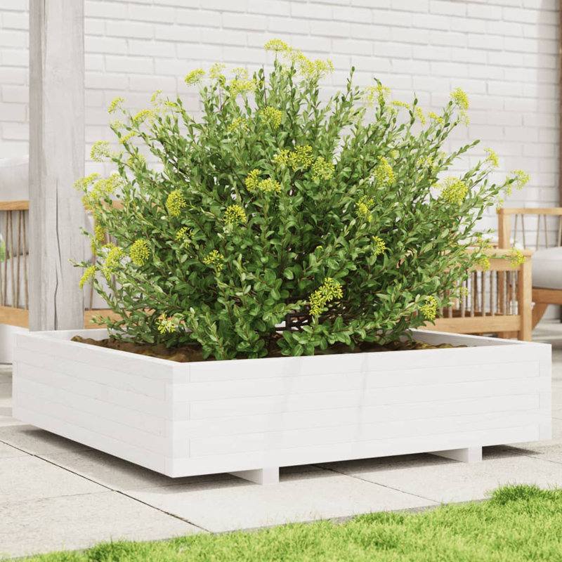 Bhavika Planter Box, 10.43" H x 39.37" W x 39.37" D, White