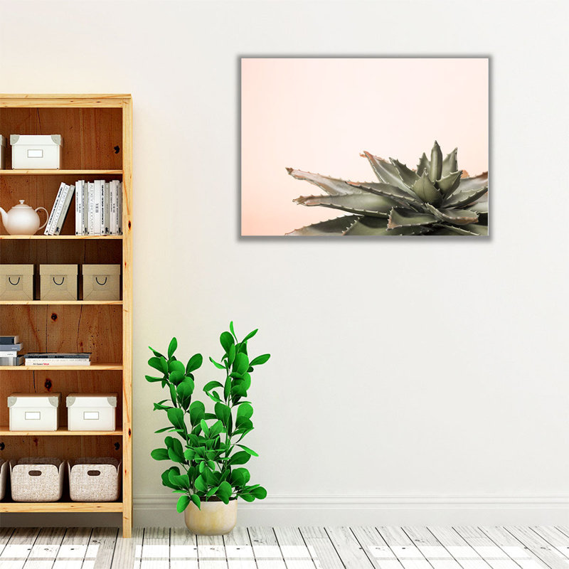 Cactus - reproduction d'art sur toile, H 12 po x l 16 po
