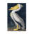 Animals Animals Incado Pelican-1549452073