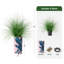 Arbre à oignon en soie - Plantes artificielles dans la décoration de sol extérieure moderne-97818467