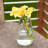 10.5'' H Glass Tabletop Lantern