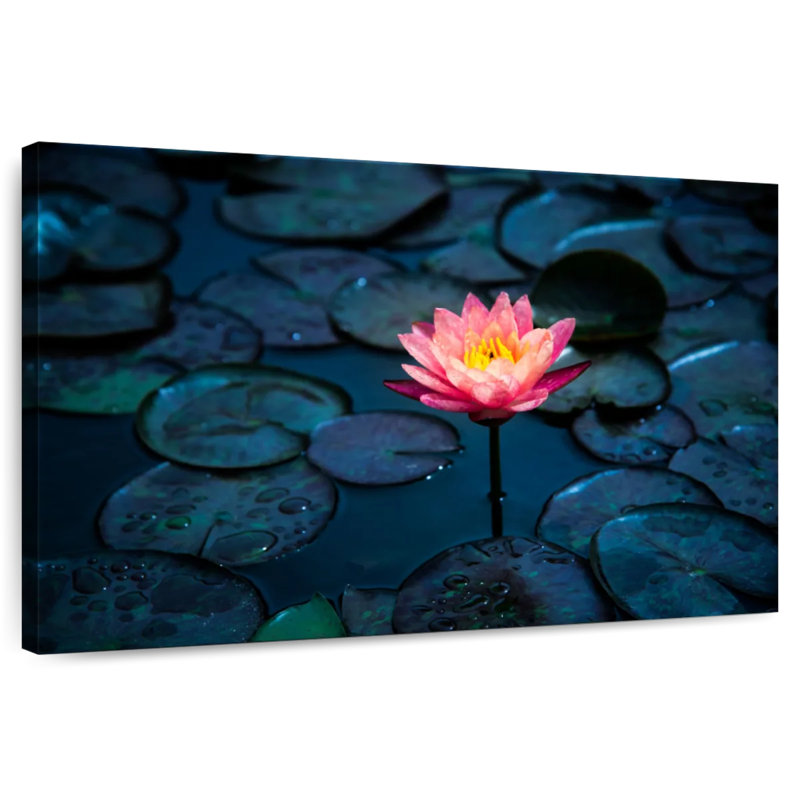 Harnek Pink Pop Lotus Flower