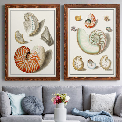 " Collected Shells I " 2 Piece Art Color Photography Painting