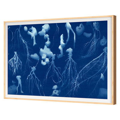 Impression sur papier, "Cadre unique" Cyanorphos 4 par Allison Svoboda